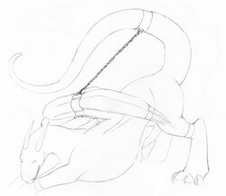 bondage bound dragon knowntobite leash male_only pet reins syn synkardis