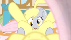 bed cutie_mark derpy_hooves equine female female_pov feral fluttershy_(mlp) friendship_is_magic horse jepso licking my_little_pony pony pov pussy sex tongue vaginal_penetration yuri