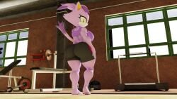 blaze_the_cat bubble_butt gym looking_back sonic_(series) spandex_shorts sports_bra twintails3d workout