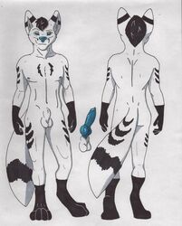 anthro black_fur blue_nose canine chevron ejaculation flaccid fox fur furry knot male male_only no_humans penis sheath solo standing testicles white_fur