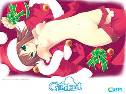 blush breasts brown_hair garden_(game) green_eyes hoshino_erika long_hair looking_at_viewer lying navel nude pussy santa_hat shaved_pussy smile uncensored