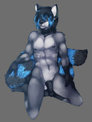 1boy abs abstract_background balls biceps black_fur black_hair black_nose black_penis blue_hair collar ear_piercing flaccid fluffy_tail green_eyes grey_background grey_fur hair looking_at_viewer male male_only muscles necklace nipples nude ookami-kun penis piercing plain_background solo white_fur