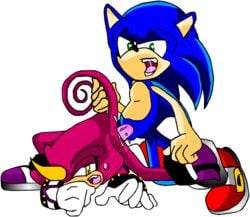 anal anal_sex anthro blue_hair chameleon chaotix cum cum_in_ass cum_inside espio_the_chameleon from_behind green_eyes hair hedgehog horn interspecies lizard male male_only multiple_males nude open_mouth penetration penis plain_background raised_tail scalie sega sex sonic_(series) sonic_the_hedgehog tail_grab tongue yaoi young