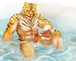 1boy anthro erection feline fur furry hikuchi male male_only penis solo tiger