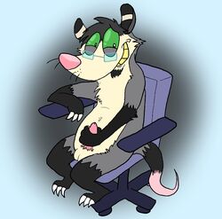 balls camcartoonfanatic chair color eyewear frindle furry glasses handjob male male_only mammal marsupial masturbation opossum penis solo