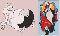 anthro balls belly big_belly black_body black_fur bloated blue_body blue_fur breasts canid canine collar duo equid equine female female_pred fox fur genitals hair hair_over_eyes hamham_gd heart_symbol hi_res hooves horse huge_belly inside_stomach male male/female male_prey mammal nipples open_mouth orange_hair pink_background pink_body pink_fur red_body red_fur safe_vore same_size_vore simple_background sitting unbirthing vaginal_penetration vore white_body white_fur willing_pred willing_prey