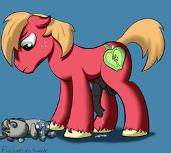 apple big_macintosh_(mlp) earth_pony equine eyes feral friendship_is_magic fruit fur hair horn horsecock male male_only mammal my_little_pony penis pony precum smarty_pants solo