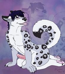 anthro canine feline fur furry hybrid jupiterfox male penis wolf