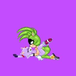 blaze the cat from idw comics by gree