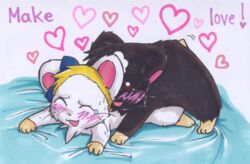 1boy 1girls artist_request bijou blush female hamster hamtaro_(series) heart humping male rodent sex straight