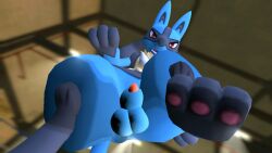 3d_(artwork) animal_genitalia anthro balls blue_body blue_fur digital_media_(artwork) fan_character francis_the_lucario fur garry's_mod generation_4_pokemon genitals imminent_stomp looking_at_viewer lucario male nintendo paws penis pokemon pokemon_(species) pov_crotch red_eyes screencap sheath solo stepped_on stepping