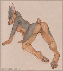 all_fours anthro anus anyare breasts canine canine_pussy doberman female fur furry inviting looking_at_viewer nude presenting pussy seductive solo