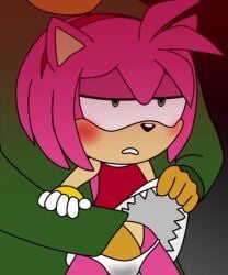 amy_rose dress female fingering furry green_eyes human male male/female panties pink_body pussy smaller_female sonic_(series) sonic_the_hedgehog_(series) tagme video