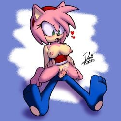 amy_rose breasts female furry male mystletain_rose penis sex sonic_(series) sonic_the_hedgehog_(series)