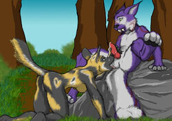 african_wild_dog anthro balls canine color cum cum_on_face dripping feline female fur furry knot koosh koosh-ball kooshball licking lynx male oral outside penis pussy pussy_juice raised_tail steggy straight tongue wet worship