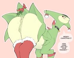 generation 5 pokemon from christmas by mmuhu