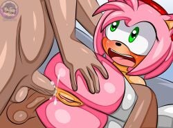 amy rose from sega by sirjzau