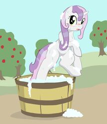 2012 blush bucket equine female friendship_is_magic green_eyes hair hair_on_head horn horse looking_at_viewer my_little_pony outside pony purple_hair pussy seidouryu soap solo sweetie_belle_(mlp) tree two_tone_hair unicorn wet