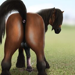 anus ass balls beast cum draft emptyset equine feral flaccid flank flare flesh fluff hooves horse male male_only mane muscles neck penis pink precum sex teasing valmir