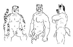 anthro bear canine feline fur furry gay husky92 male mammal muscle penis tiger uncut vasuki