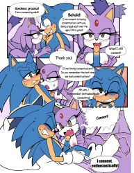 blaze the cat from sega by senshion