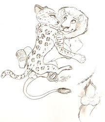 2012 alakay_alex anthro balls black_and_white dreamworks feline female furry furry_only gia_the_jaguar interspecies jaguar lion madagascar_(series) male penis sex simple_background