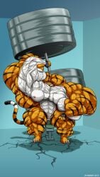 abs atariboy biceps breasts feline female hyper hyper_muscles kung_fu_panda master_tigress muscles muscular muscular_arms muscular_female muscular_legs muscular_thighs pecs tail tiger weights