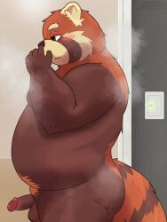 2025 3:4 absurd_res ailurid anthro balls belly big_belly blush bodily_fluids erection genitals hi_res k_gutless kemono male mammal moobs musk overweight overweight_male penis red_panda solo standing steam sweat