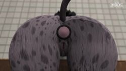 anal_masturbation anal_sex big_butt butt_focus buttplug close-up furry hyena leaking_pussy masturbation moan plug_(sex_toy) pussy_juice pussy_juice_drip rear_view rixal34 sex_toy spots spotted_body spotted_fur tagme vaginal_fluids vibrating video