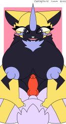 animal_genitalia animal_penis anthro big_breasts big_nipples breasts canine_genitalia canine_penis duo eeveelution female generation_2_pokemon generation_7_pokemon genitals hi_res huge_breasts hyper hyper_breasts legendary_pokemon looking_at_viewer male male/female nintendo nipples penis pokemon pokemon_(species) theenyface umbreon zeraora
