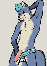 anthro ataraxia canine clothes erection fox front_view fur furry furry_only looking_at_viewer male male_only penis solo topless underwear