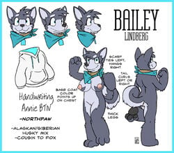 anthro ass bailey_(housepets!) bandana big_breasts blue_eyes breasts canine casual collar edit english_text female fur furry grey_fur hoodie housepets! humanoid model_sheet nipples nude pussy rick_griffin solo standing tail text