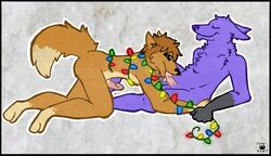 2012 andy_dingo_wolf anthro canine christmas christmas_lights closed_eyes cum erection fellatio fur furry fusky_(species) gay hair holidays hybrid lynx_softpaw male mates nightlinez no_humans nude oral oral_sex paws penis plain_background purple_fur sex wolingo