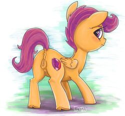 2019 absurd_res anus ass crotchboobs cutie_mark dock equine eyelashes female feral friendship_is_magic hi_res horn looking_at_viewer mammal my_little_pony ponypron pussy scootaloo_(mlp) small_crotchboobs solo unicorn young