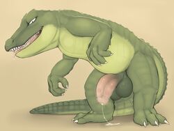 1boy alligator anthro balls barefoot circumcised claws dripping erection front_view full-length_portrait full_length half-erect jetshark looking_at_viewer male male_only naughty_face nude penis portrait precum precum_string reptile sagging_balls scalie sharp_teeth slightly_chubby solo standing teeth tongue tongue_out