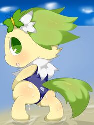 1girls anthro beach canine chibi cum cum_on_ass female female_only from_behind furry jewelpet jewelpet_(species) looking_back one-piece_swimsuit partially_submerged peridot_(jewelpet) solo water