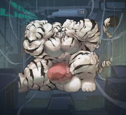 b.y balls bara bodybuilder furry hyper hyper_balls hyper_cock hyper_genitalia hyper_penis hyper_testicles male male_only muscles muscular muscular_arms muscular_male muscular_thighs penis testicles