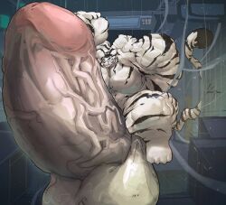 b.y balls bara bodybuilder furry hyper hyper_balls hyper_cock hyper_genitalia hyper_penis hyper_testicles male male_only muscles muscular muscular_arms muscular_male muscular_thighs penis testicles