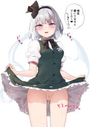 konpaku youmu from perfect cherry blossom by purin jiisan