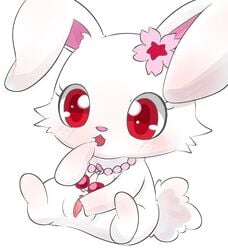 1girls blush clitoris eyelashes female female_only fluffy_tail jewelpet jewelpet_(species) pussy rabbit red_eyes ruby_(jewelpet) solo spread_legs spreading white_background white_fur