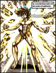 lionet_souma pegasus_seiya saint_seiya tagme