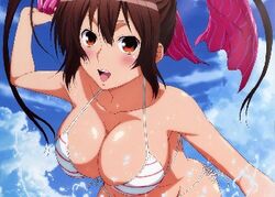 bikini large_breasts musubi sahashi_minato20 sekirei swimsuit tagme