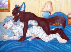 anal canine doggy_style feline from_behind furry gay jankiba male no_humans ritz_bitz sex storm-tiger tiger wolf