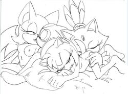 4girls amy_rose bat blaze_the_cat cream_the_rabbit domestic_cat french_kiss hedgehog kissing licking_ass multiple_girls rabbit randomguy999 rimming rouge_the_bat sonic_(series) yuri