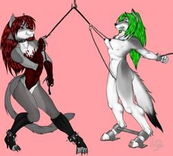 2girls anthro blood bondage bound breasts collar cuffs domination female female_only femdom furry guro hind hook nipple_clamp nipples nude paw paws shackles spreader_bar stretching text torture watermark yuri