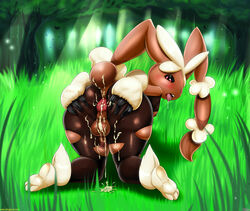 anthro anus ass balls big_ass big_butt blush cotton cum femboy fluff forest grass lagomorph legwear lopunny male mammal mega_evolution mega_lopunny nature nintendo nipples open_mouth penis pokemon pokemon_(species) presenting puffy_anus rabbit shadman shagbase spreading stockings tall_grass thecon tongue tongue_out tree video_games voluptuous