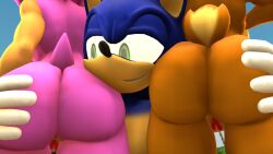 1boy 2girls amy_rose anthro anthro_only ass ass_grab face_near_ass female furry furry_only garbage-chan grabbing_ass male no_humans nude_female pussy sally_acorn sonic_(series) sonic_the_hedgehog sonic_the_hedgehog_(archie) sonic_the_hedgehog_(comics) sonic_the_hedgehog_(series) source_filmmaker