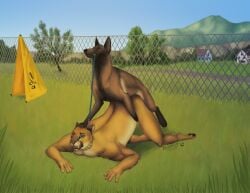 2024 anthro anthro_on_feral anthro_penetrated brown_body brown_fur building canid canine canis chain-link_fence collar cougar detailed_background digital_media_(artwork) digital_painting_(artwork) domestic_dog duo felid feline fence feral feral_penetrating feral_penetrating_anthro from_behind_position fur grass herding_dog hi_res house leash leash_pull leashed_collar male male/male malinois_dog mammal mating_grip mountain mounting obscured_penetration one_eye_closed outside_sex pastoral_dog penetration plant prong_collar regsmutt sex sheepdog tree white_body white_fur zoophilia