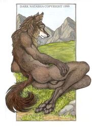 1999 anthro ass backsack balls black_nose blue_sky brown_body brown_fur canid canine dark_natasha day detailed_background full-length_portrait fur genitals grass grey_pawpads hand_on_leg hand_on_own_leg hand_on_own_thigh hand_on_thigh hindpaw humanoid_hands male mammal mountain nude outside pawpads paws plant portrait rear_view rock shaded sky snout solo tail traditional_media_(artwork)