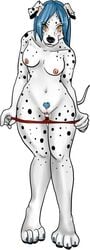 anthro blue_hair breasts canine dalmatian female fur furry half-dressed looking_at_viewer oli_snowpaw pussy skimpy solo topless undressing